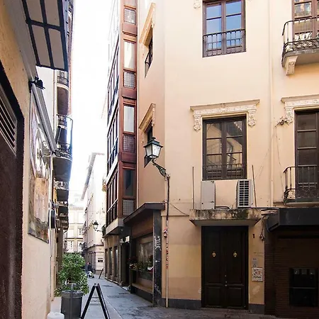 Apartment Duplex Centro Granada! Plaza Bib-rambla Y Catedral. *